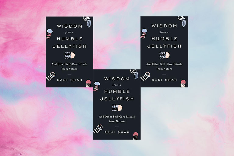 book Wisdom From A Humble Jellyfish on a background of the sky with pink clouds